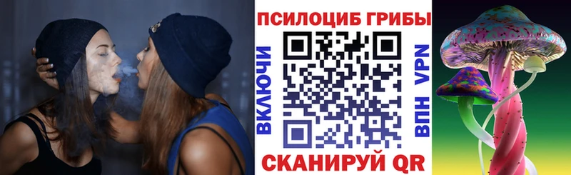 hydra tor Воркута Галлюциногенные грибы Cubensis