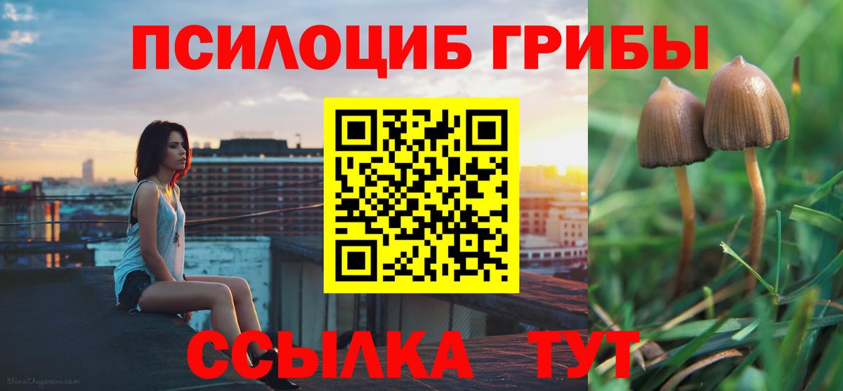 Воркута  Псилоцибиновые грибы Cubensis  Вход с VPN 