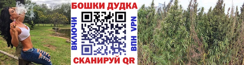 МАРИХУАНА семена  магазин  наркотиков  mega ссылки  Воркута 